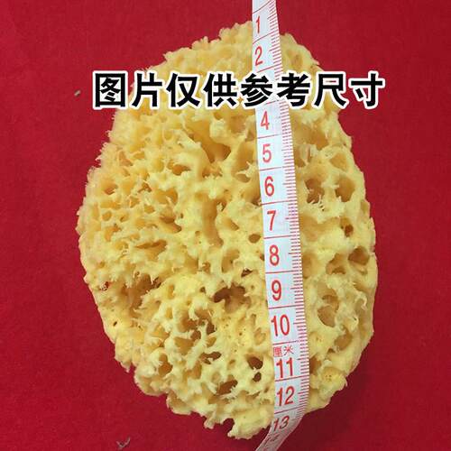 希腊进口天然海藻棉艺术漆点涂印花艺术工具蜂窝天然海藻绵