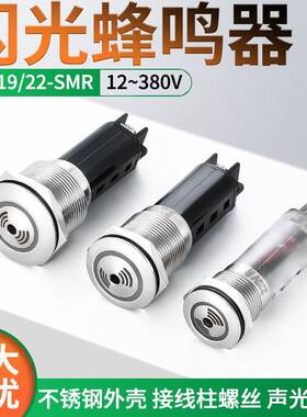 金属蜂鸣器 19mm 22mm不锈钢闪光警报器16mmLED声光警报器24v 12v
