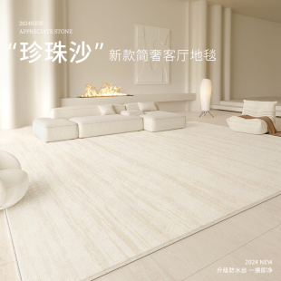 卧室地垫家用沙发防水防污奶油风轻奢高级感家 地毯客厅202g4新款