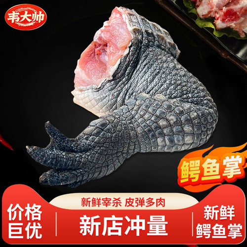 3斤新鲜鳄鱼掌鳄鱼尾肉