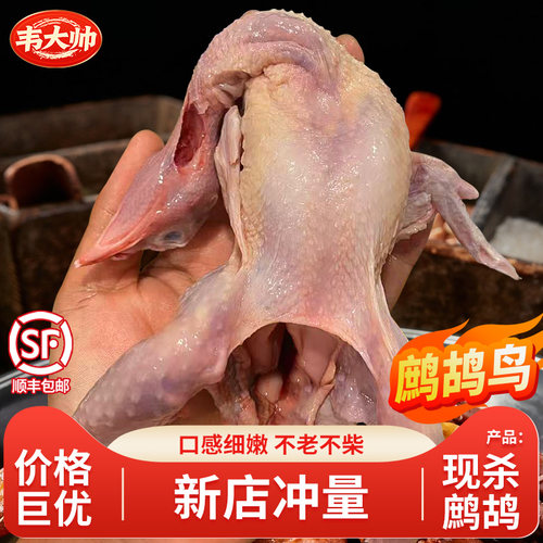 新鲜现杀鹧鸪鸟肉飞龙肉