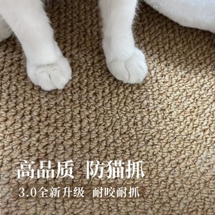 家用玄关耐脏防猫抓门口地毯 仿剑麻入户门地垫进门脚垫2025新款