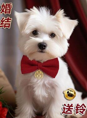 宠物猫咪狗狗结婚喜庆领结蝴蝶结红色大狗装饰脖圈颈圈项链通用