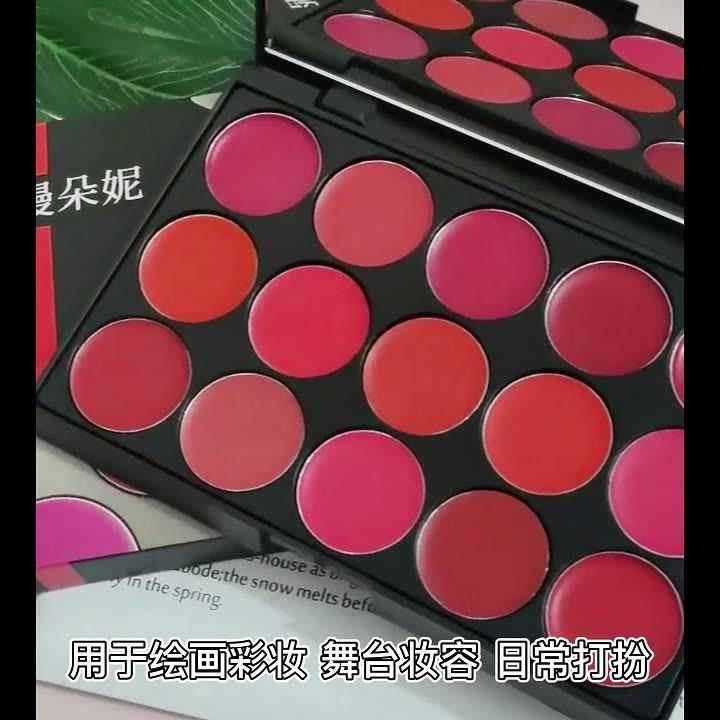missrose化妆师专用唇彩口红盘多色唇膏不脱色儿童舞台