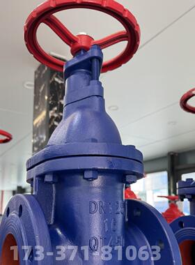 河北深远阀门Z45T-16Q铜芯隐杆反法兰闸阀Dn 5080100150200