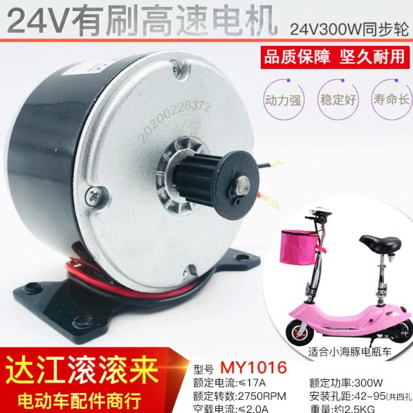 羚鹰小海豚同步轮电机24V300W高速电机电动车马达