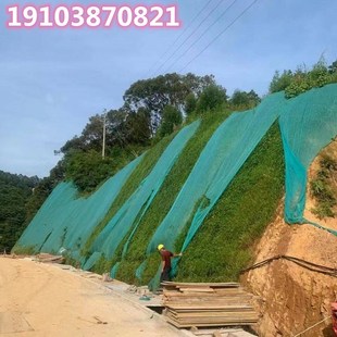 种植草籽透气膜工程防尘绿网盖草坪网无纺布整卷农用透气无纺布