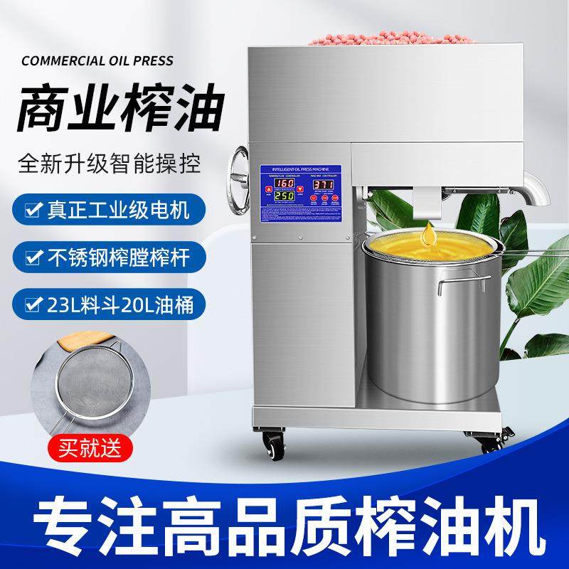 D08小型商用榨油机20公斤/小时智能不锈钢榨油机花生芝麻加工设备