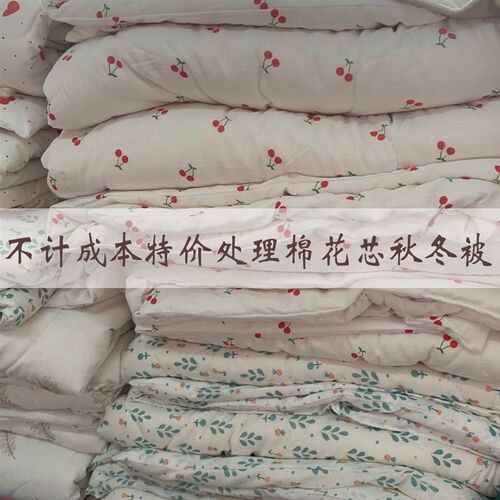 刘大姐家 赔钱处理一批刚做好的厚实暖和 纯正棉花被 冬被棉花芯