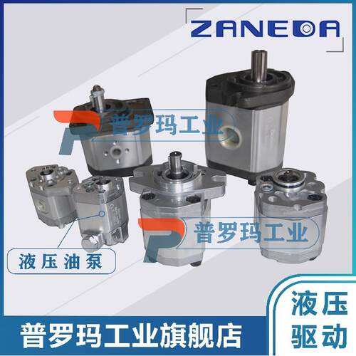 ZANEDA液压泵外啮合齿轮泵2.5ZDPAOD3ZGPB0D2ZGPA0D0.5ZKPA0
