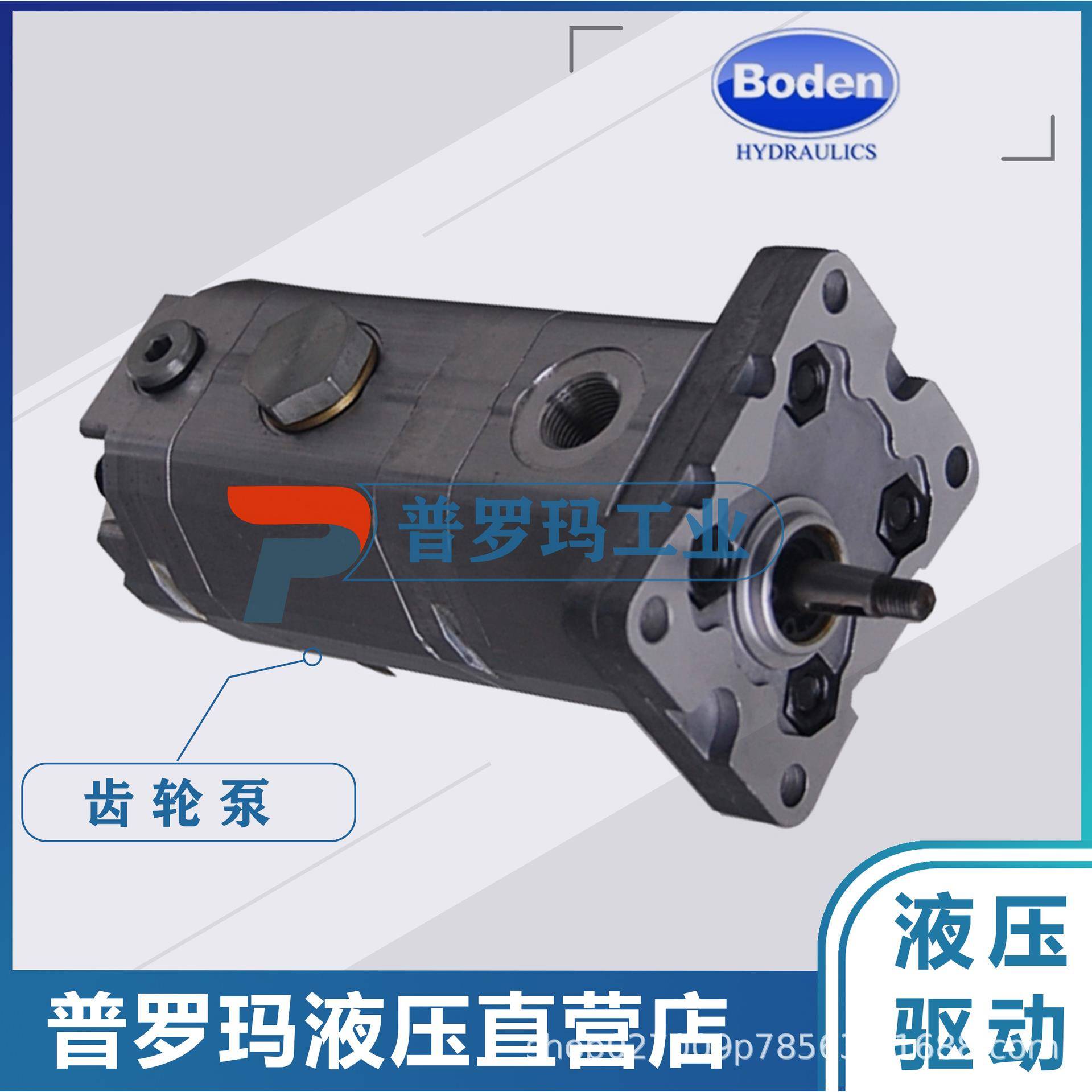 BODENBHP2.6B0/BHP2.6A1/BHP2.6A2DSR36/38/40/44-R齿轮泵