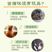 猫玩具套装 自嗨解闷激光逗猫棒羽毛磨牙耐咬幼猫猫咪用品大全