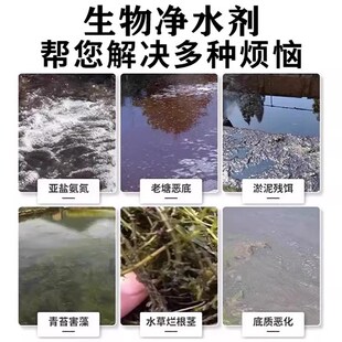 鱼塘水质净化剂除铁锈水净水剂池塘变清去油膜消毒杀菌药水立清灵