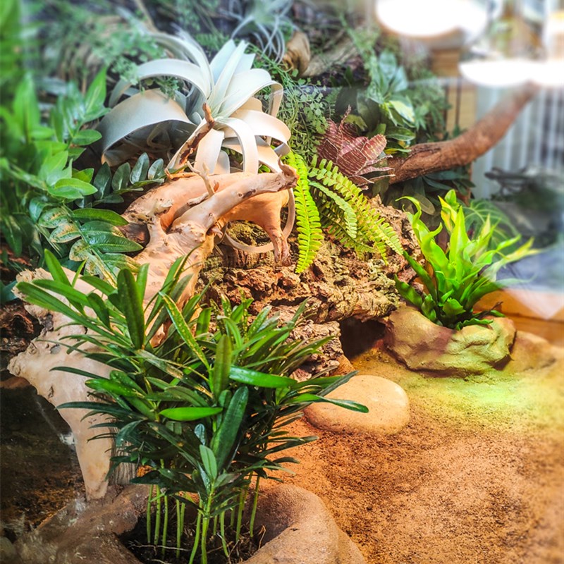 乌龟水龟缸别墅橡木实木可排水饲养箱黄缘龟陆龟半水龟景观套餐