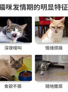 宠肤恩猫咪禁情粉公猫母猫专用狗狗猫静情喵抑制发情抑情片喵情记