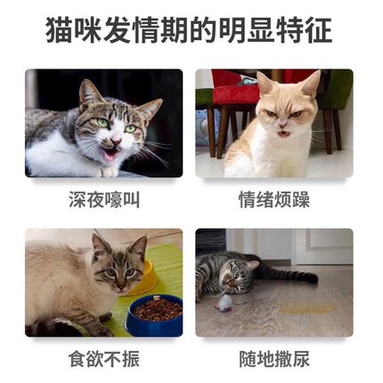 宠肤恩猫咪禁情粉公猫母猫专用狗狗猫静情喵抑制发情抑情片喵情记