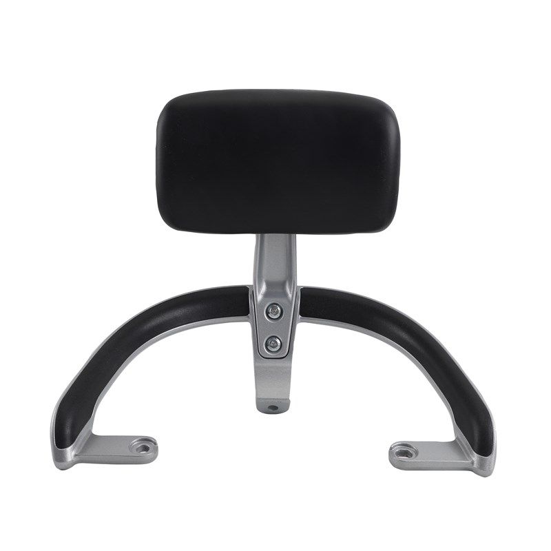 金箭DZ-灵可电动车靠背通用钻豹优佳后尾架吉祥狮扶手后货架靠垫