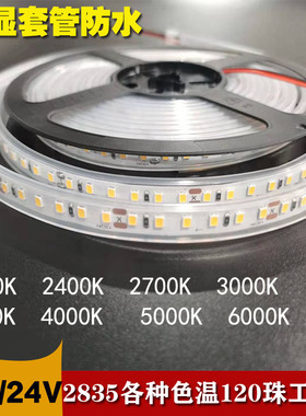 12V24V套管2835高亮高显120灯2000K2400K2700K3000K4000K5000K600