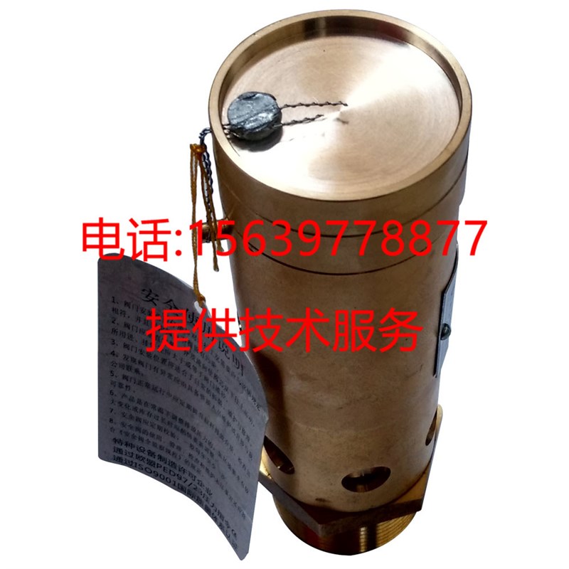 适用于阿特拉斯A28X-16T DN15弹簧安全阀0830100835=1092001964