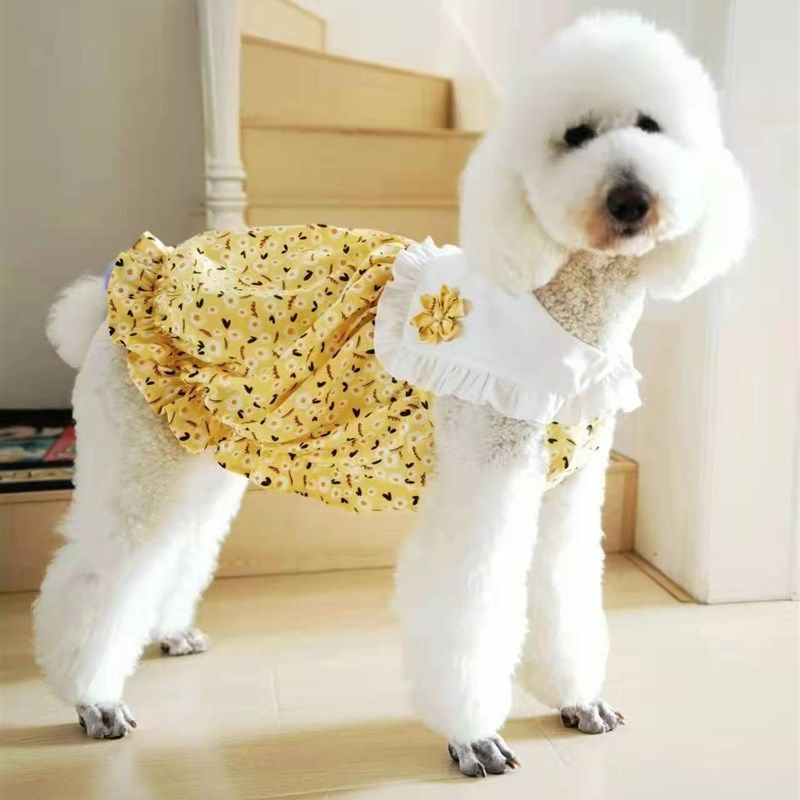 宠物狗狗连衣裙子图纸花苞型裙纸样比熊泰迪法斗巨贵diy裙子模板,宠物/宠物食品及用品,猫宠物服装/雨衣（新）,淘宝优惠券,粉丝福利购,淘宝优惠卷