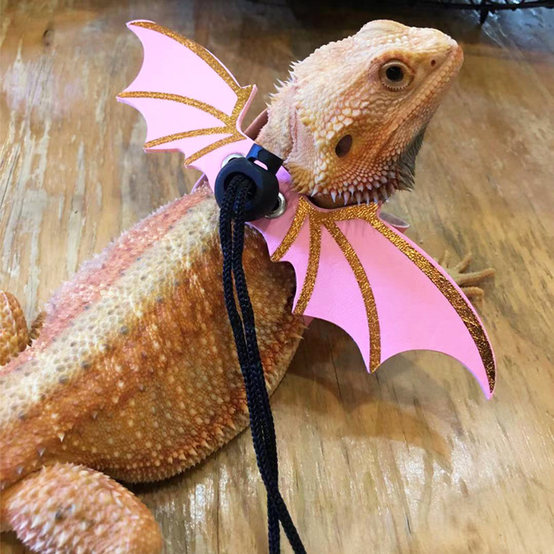 爬宠鬃狮蜥蜴牵引绳爬虫蓝舌斑帆蜥户外出防逃逸皮革抱婴袋翅膀牵