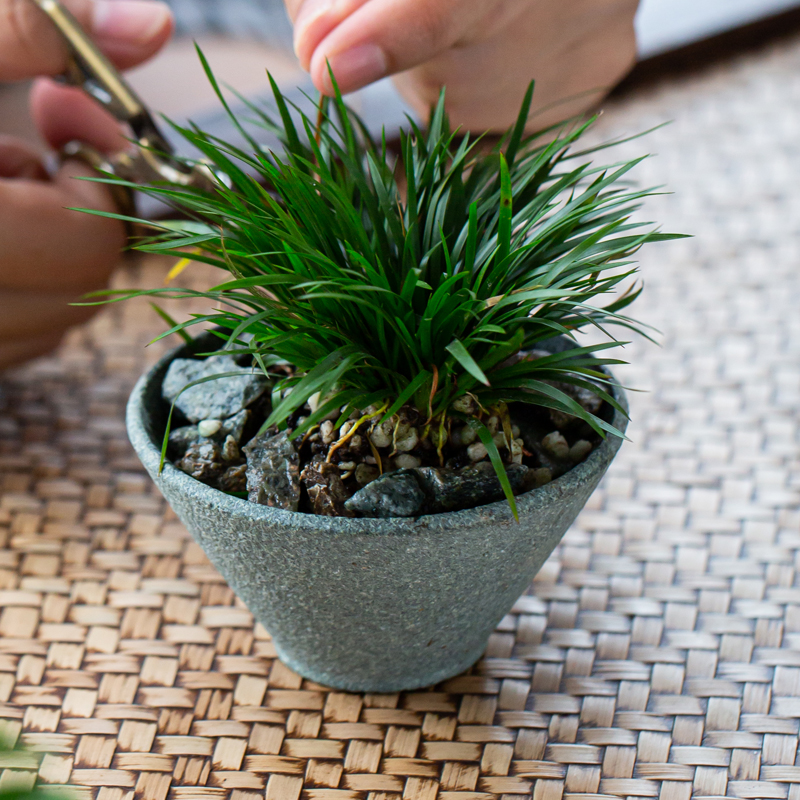 天然石材花盆加工石头微盆青石盆景小件摆设茶桌石花器办公室绿植