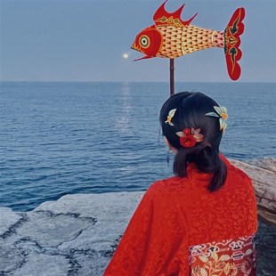 中国科举博物馆文创秦淮花灯非遗鱼灯新年春节灯笼古风汉服