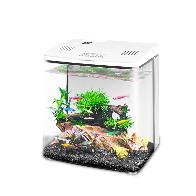 自循环鱼缸小型创意桌面客厅家用水族箱生态懒人免换水背滤金鱼缸
