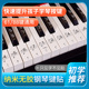 纳米钢琴键盘贴纸88键61键54键儿童成人电子琴简谱五线谱按键贴