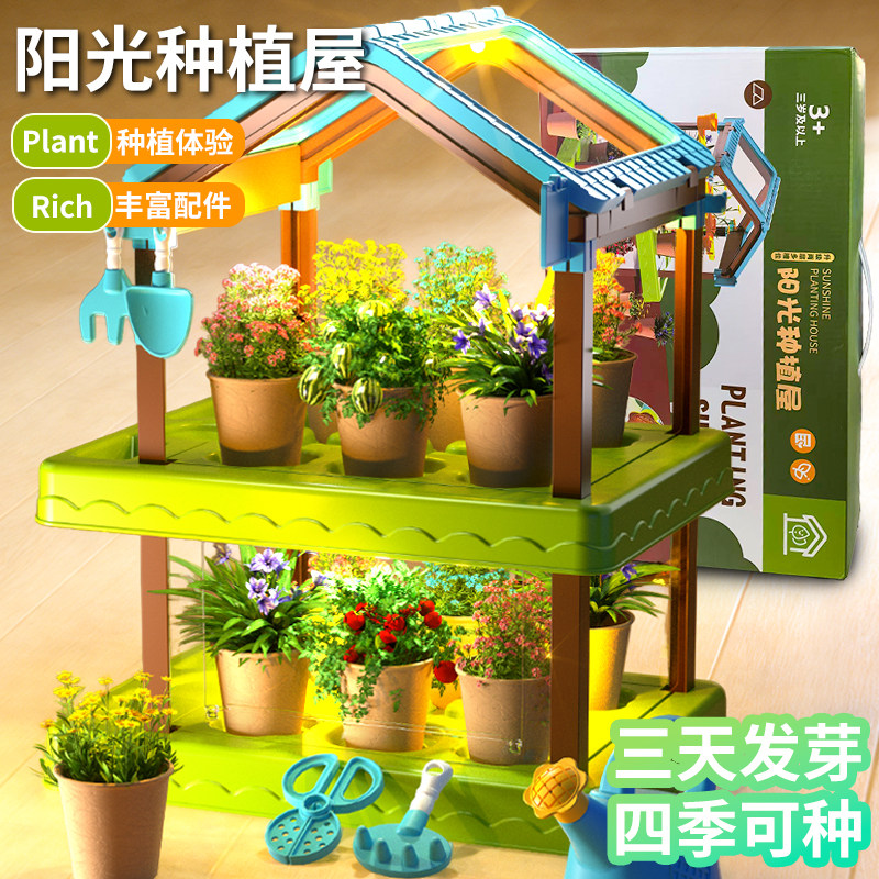 儿童种植阳光房种菜花房植物生长观察实验玩具科学实验套装男女孩