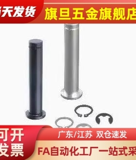 GHCCG3/4/5/6/8/10/12-10/15/20铰链销带肩扣环型