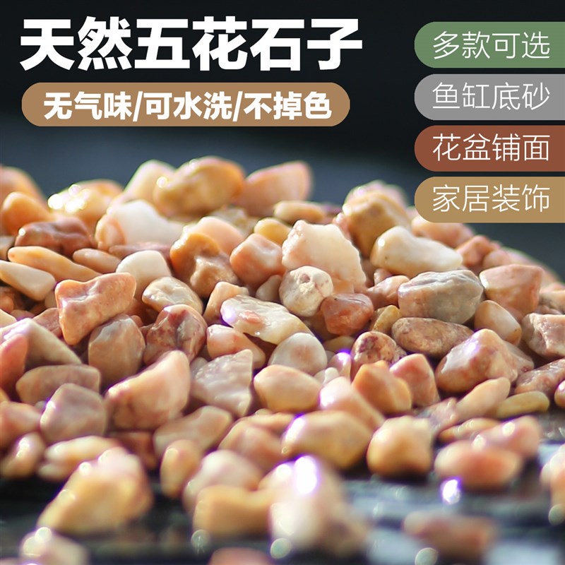 5斤天然小石头五花七彩石白色小石子鹅卵石鱼缸底沙多肉花盆铺面