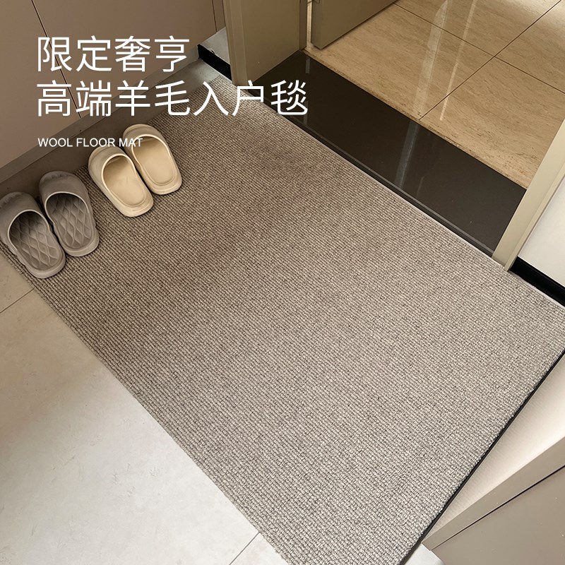 羊毛入户门地垫2025新款轻奢高级感地毯高端玄关门垫进门口脚垫子