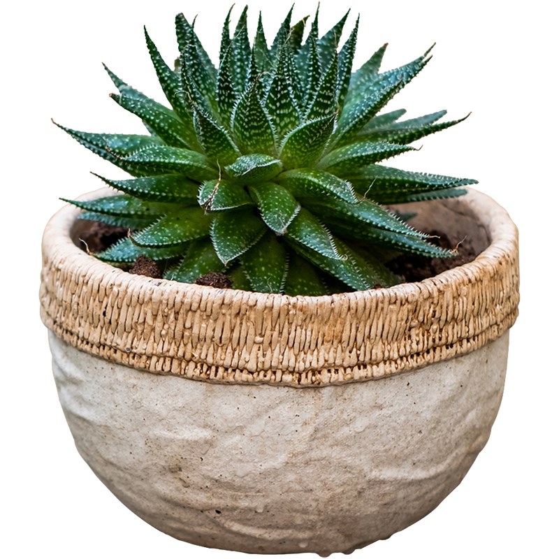 仿藤编造型花盆多肉花器个性创意家用阳台复古做旧粗陶花园绿植盆