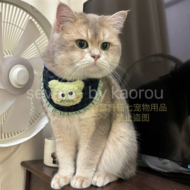 猫咪狗狗口水巾可爱宠物围脖围兜防舔毛布偶蓝猫泰迪巴塞罗熊围巾