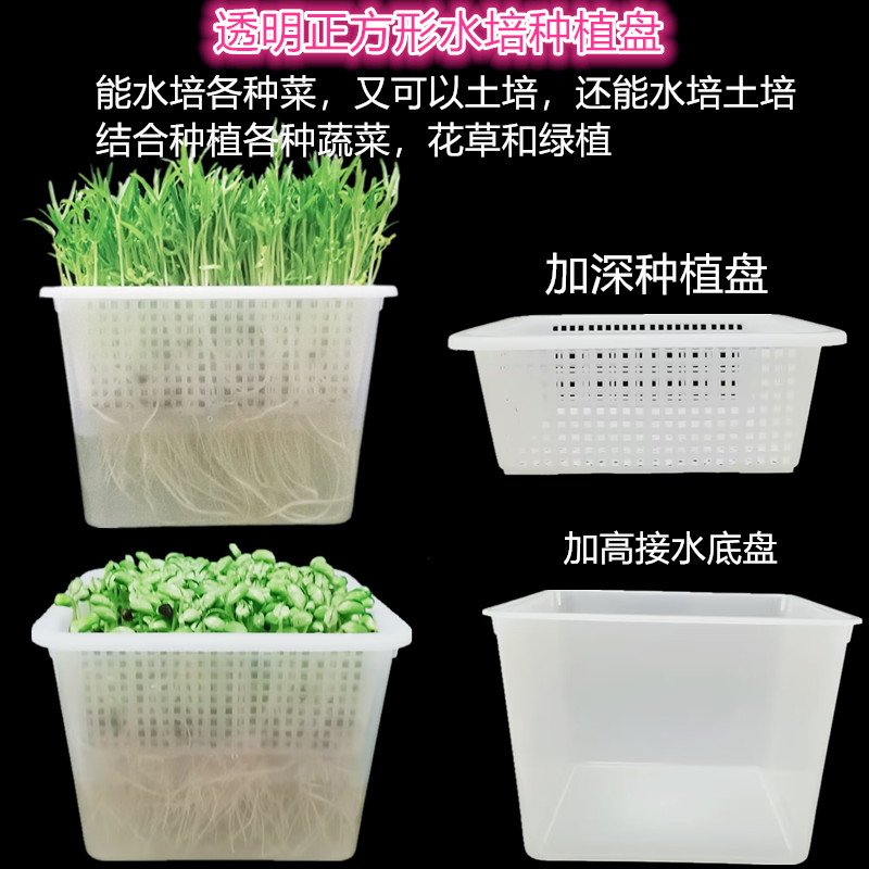 透明水培花盆育苗盘无土栽培种菜盆芽苗菜水培盘花生芽植物神器