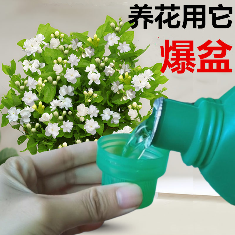 花肥家用盆栽营养液植物通用型兰花水培发财树专用生根液多肉肥料