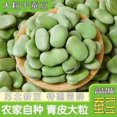精选新货5斤装绿皮干蚕豆生的绿胡豆可发芽做油炸罗莲花汉豆