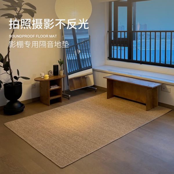 摄影棚拍照专用背景布地毯客厅全铺大面积工作室防剑麻防水地毯