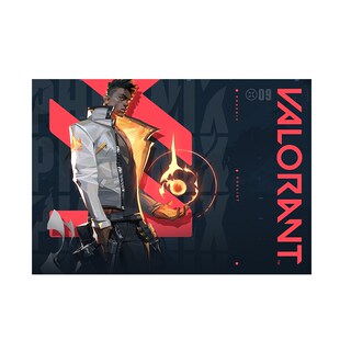 帕仕亚定制地垫无畏契约游戏地毯矩形电竞椅办公椅电竞房酒店通用