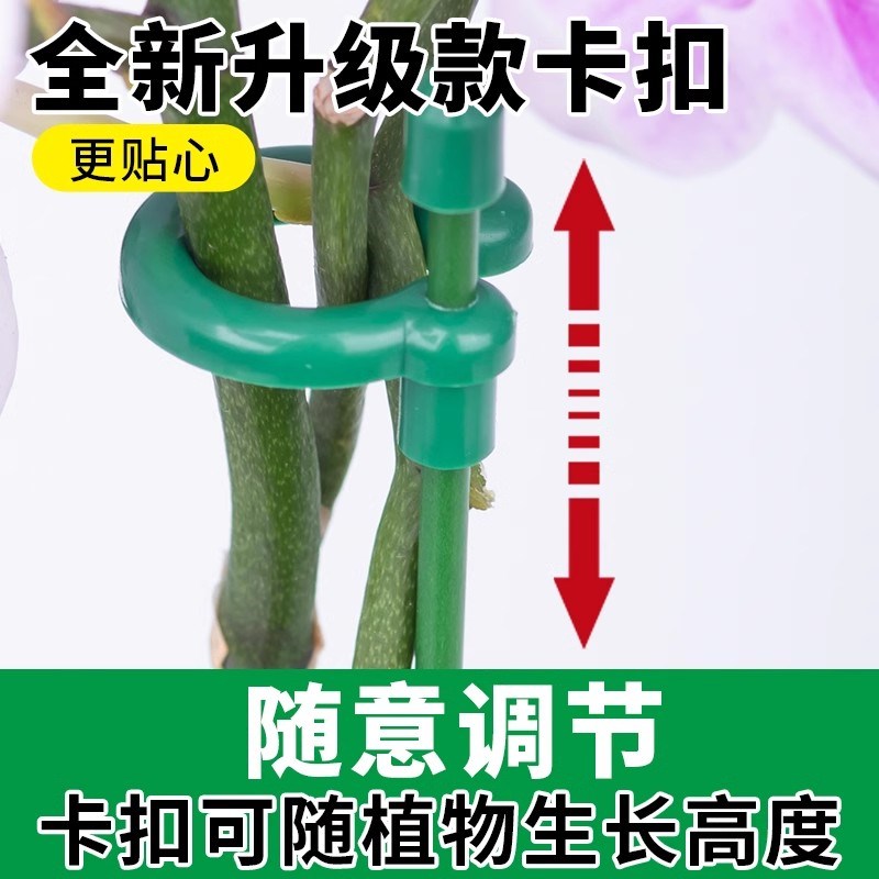 园艺支撑杆文竹专用花架固定器蝴蝶兰花支架植物固定架植物防倒伏