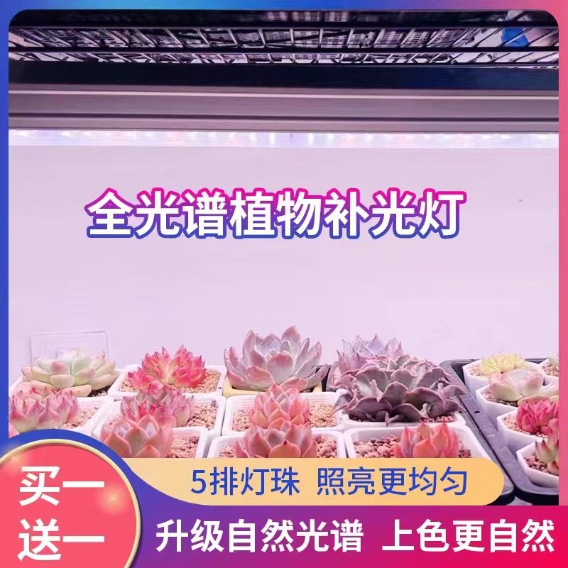 正阳多肉补光灯全光谱上色白光大功率室内育苗植物防徒仿太阳生长,家装灯饰光源,植物生长灯,淘宝优惠券,粉丝福利购,淘宝优惠卷