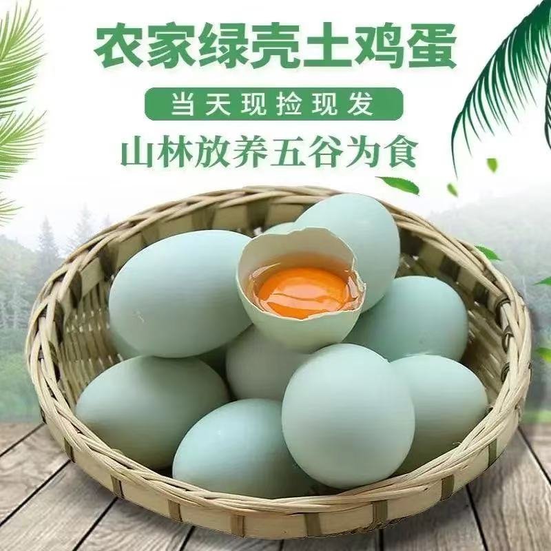 乌鸡蛋五黑杂粮谷物喂养绿壳土鸡