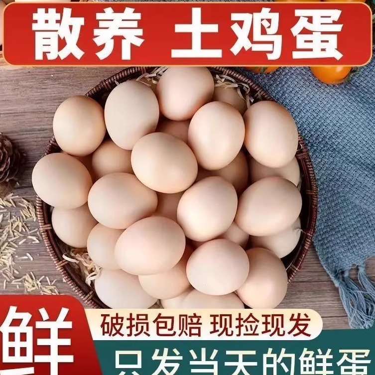 土鸡头谷物喂养小个窝营养笨鸡蛋
