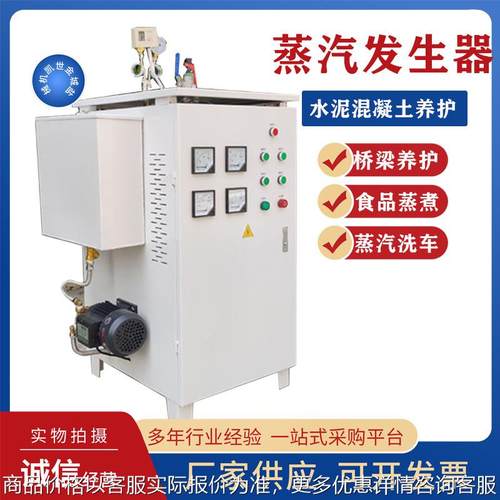 工业电加热蒸汽发生器食品蒸煮蒸汽锅炉水泥混凝土养护蒸汽发生器