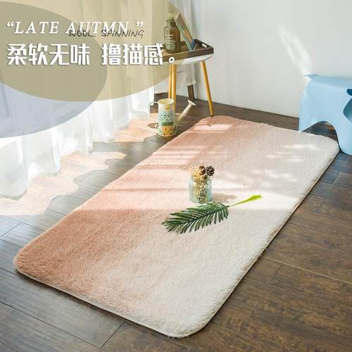 北欧ins地毯健身女生卧室床边毯客厅茶几垫毛绒少女撸猫感日系风