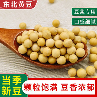 东北黄豆非转基因新货黄大豆打豆浆专用农家自种发豆芽五谷杂粮