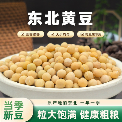 黄豆打豆浆专用农家自种东北非转基因新小黄豆批发本地老品种大豆