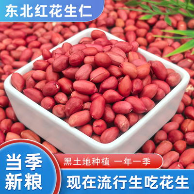 东北红花生仁2025年农家新货不带壳生熟新鲜自种晒干四粒红花生米