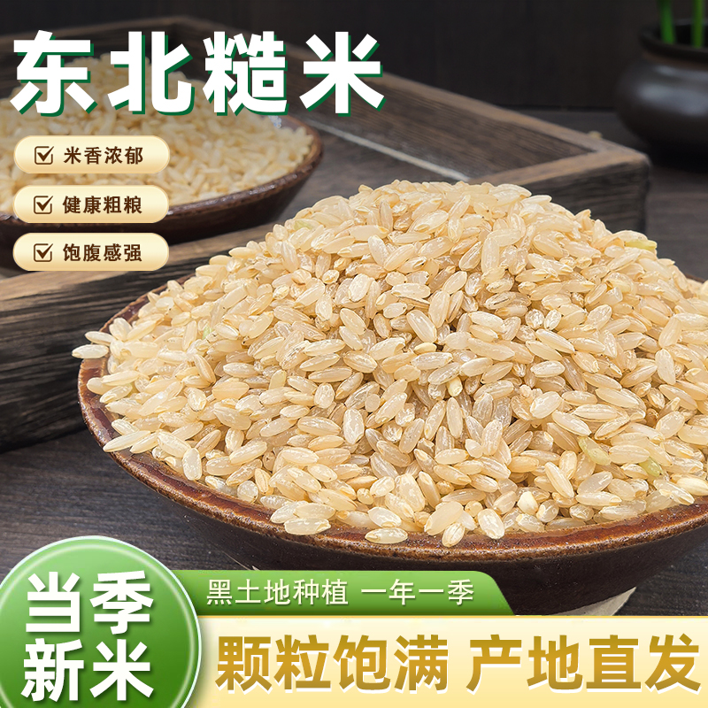 东北胚芽糙米24年五常农家新米粗粮低脂主食五谷杂粮新糙米5斤